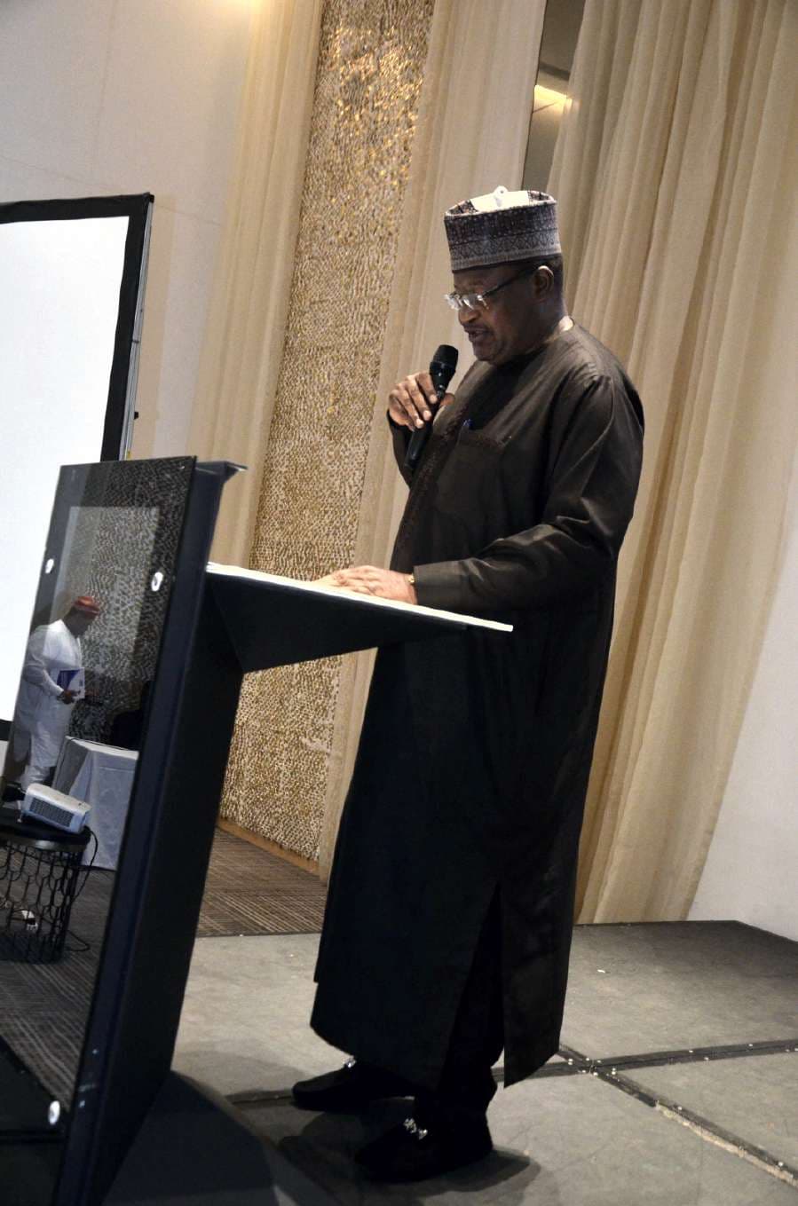 A delegate addressing the workshop from the podium, backlit against the hall's gold drapery